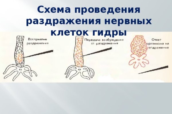 Kraken market зеркала