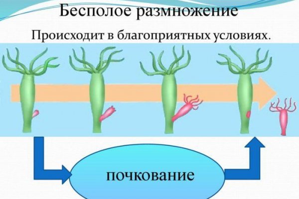 Кракен торговая площадка